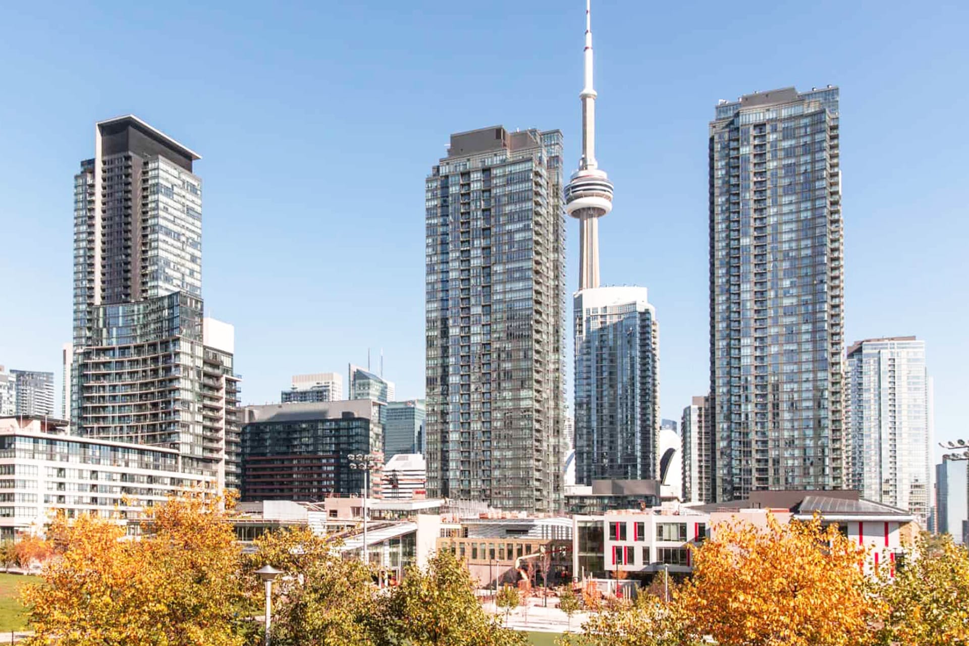 Service Requests to Community Intelligence: How TSC Management Supports Strategic Growth
